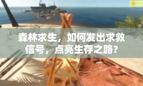 森林求生，如何發(fā)出求救信號，點亮生存之路？
