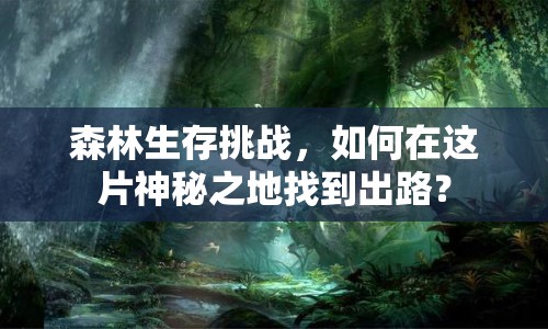 森林生存挑戰(zhàn)，如何在這片神秘之地找到出路？