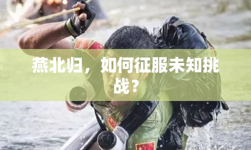 燕北歸，如何征服未知挑戰(zhàn)？
