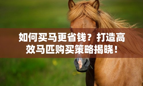 如何買馬更省錢？打造高效馬匹購買策略揭曉！