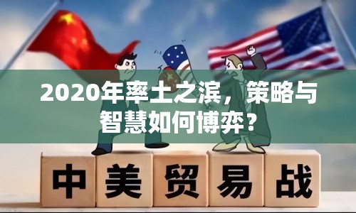 2020年率土之濱，策略與智慧如何博弈？