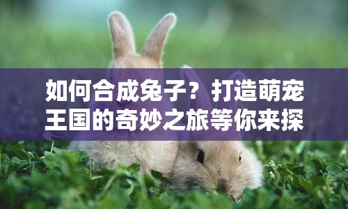 如何合成兔子？打造萌寵王國的奇妙之旅等你來探索！