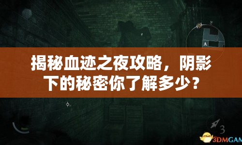 揭秘血跡之夜攻略，陰影下的秘密你了解多少？