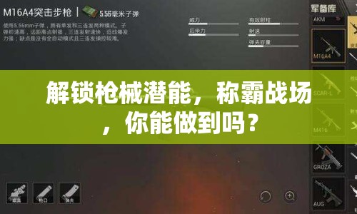 解鎖槍械潛能，稱霸戰(zhàn)場，你能做到嗎？