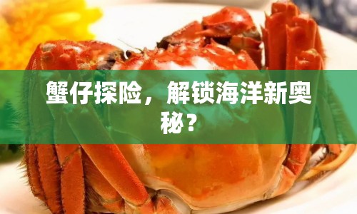 蟹仔探險，解鎖海洋新奧秘？