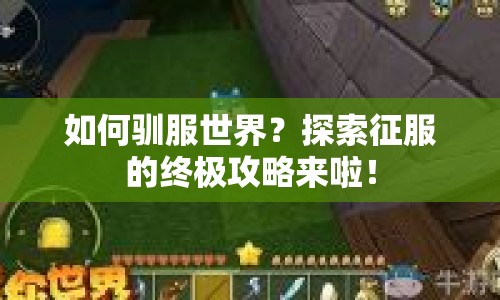 如何馴服世界？探索征服的終極攻略來啦！
