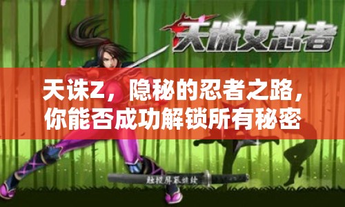 天誅Z，隱秘的忍者之路，你能否成功解鎖所有秘密？