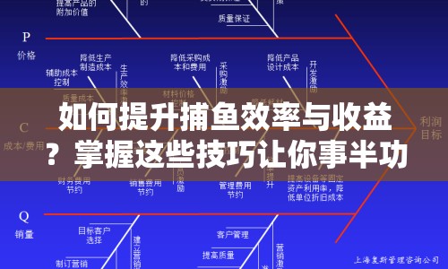 如何提升捕魚效率與收益？掌握這些技巧讓你事半功倍！