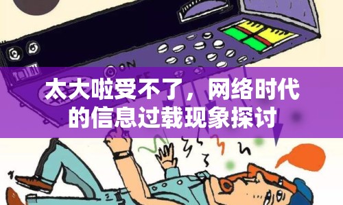 太大啦受不了，網(wǎng)絡(luò)時代的信息過載現(xiàn)象探討