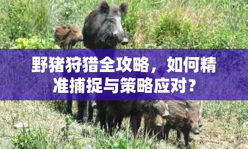 野豬狩獵全攻略，如何精準捕捉與策略應(yīng)對？