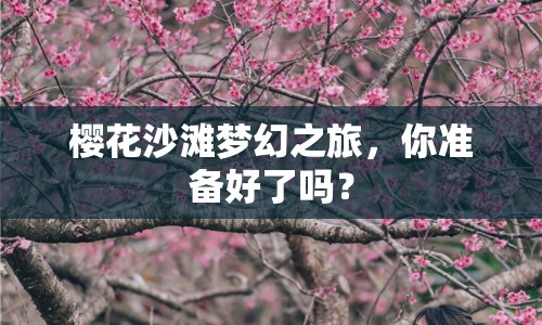 櫻花沙灘夢幻之旅，你準(zhǔn)備好了嗎？