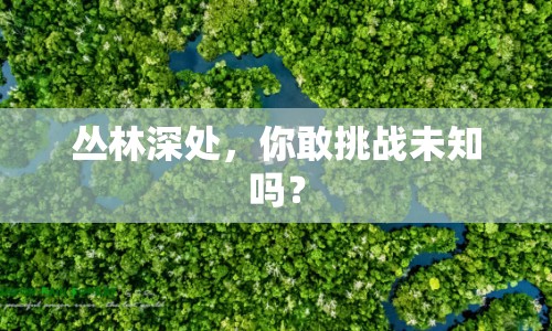 叢林深處，你敢挑戰(zhàn)未知嗎？