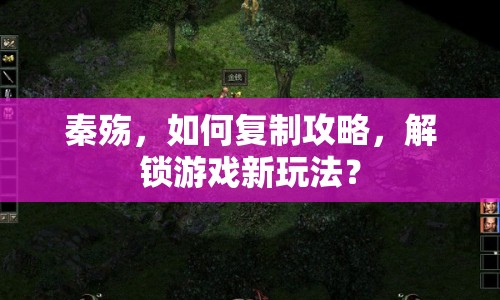 秦殤，如何復(fù)制攻略，解鎖游戲新玩法？