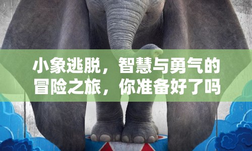 小象逃脫，智慧與勇氣的冒險(xiǎn)之旅，你準(zhǔn)備好了嗎？