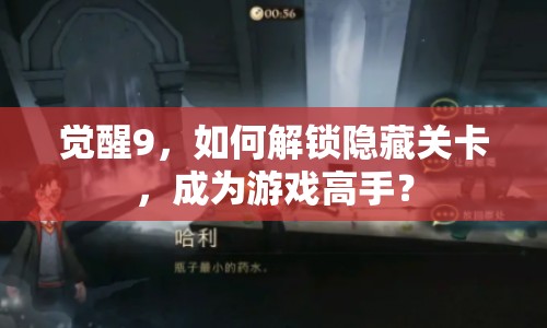 覺醒9，如何解鎖隱藏關(guān)卡，成為游戲高手？