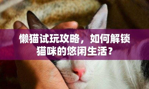 懶貓?jiān)囃婀ヂ裕绾谓怄i貓咪的悠閑生活？