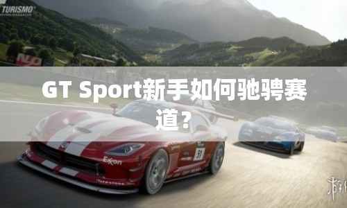 GT Sport新手如何馳騁賽道？