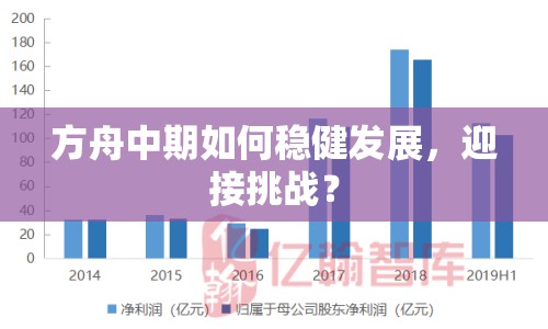 方舟中期如何穩(wěn)健發(fā)展，迎接挑戰(zhàn)？