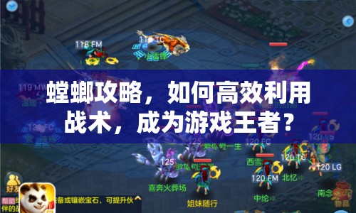 螳螂攻略，如何高效利用戰(zhàn)術(shù)，成為游戲王者？