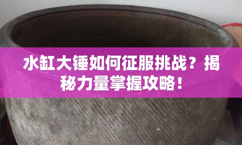 水缸大錘如何征服挑戰(zhàn)？揭秘力量掌握攻略！
