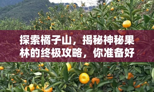 探索橘子山，揭秘神秘果林的終極攻略，你準(zhǔn)備好了嗎？