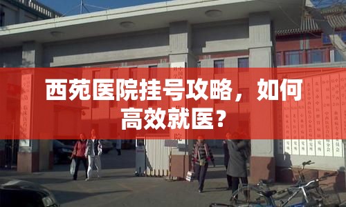 西苑醫(yī)院掛號(hào)攻略，如何高效就醫(yī)？