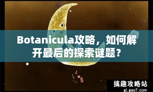 Botanicula攻略，如何解開(kāi)最后的探索謎題？
