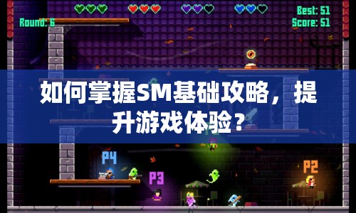 如何掌握SM基礎(chǔ)攻略，提升游戲體驗？