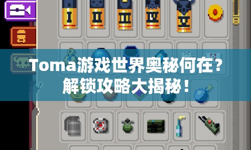 Toma游戲世界奧秘何在？解鎖攻略大揭秘！