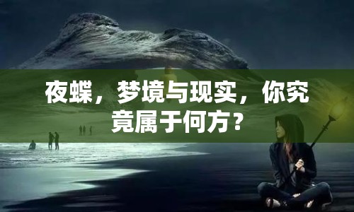 夜蝶，夢境與現(xiàn)實，你究竟屬于何方？
