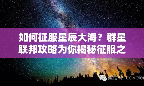 如何征服星辰大海？群星聯(lián)邦攻略為你揭秘征服之路！