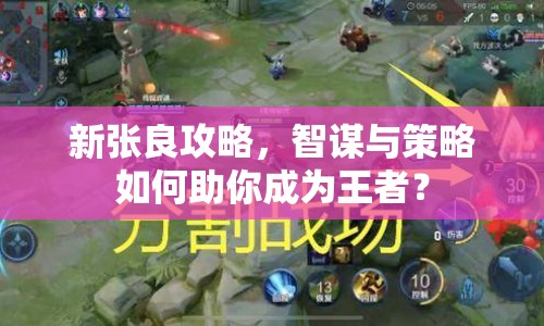 新張良攻略，智謀與策略如何助你成為王者？