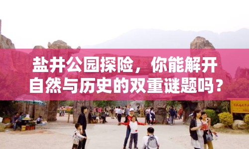 鹽井公園探險(xiǎn)，你能解開自然與歷史的雙重謎題嗎？