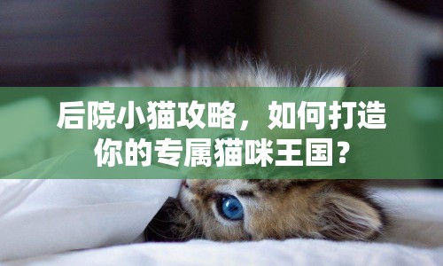 后院小貓攻略，如何打造你的專屬貓咪王國(guó)？