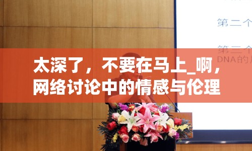 太深了，不要在馬上_啊，網(wǎng)絡(luò)討論中的情感與倫理邊界