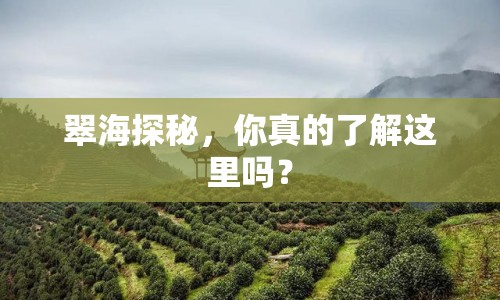 翠海探秘，你真的了解這里嗎？