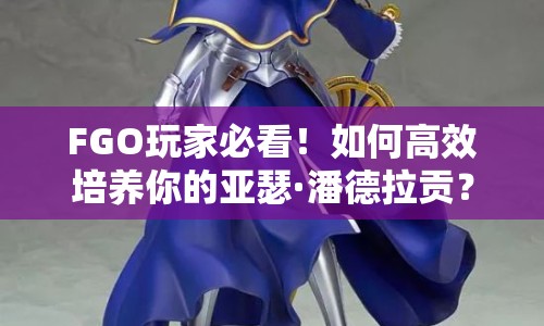 FGO玩家必看！如何高效培養(yǎng)你的亞瑟·潘德拉貢？