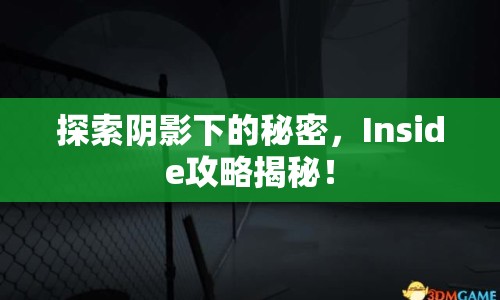 探索陰影下的秘密，Inside攻略揭秘！