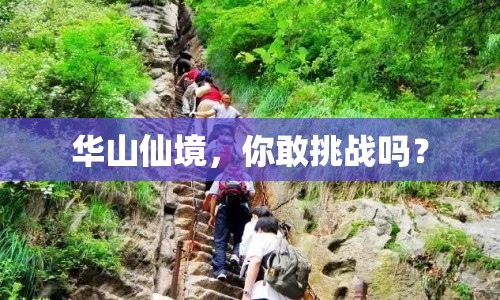 華山仙境，你敢挑戰(zhàn)嗎？