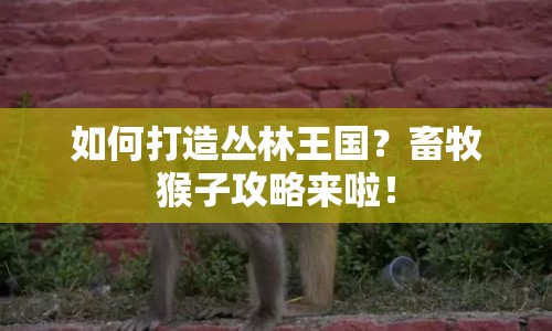 如何打造叢林王國(guó)？畜牧猴子攻略來(lái)啦！