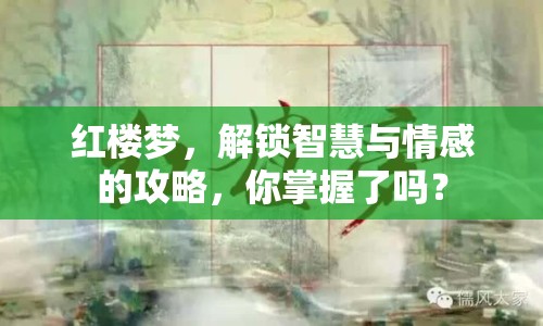 紅樓夢，解鎖智慧與情感的攻略，你掌握了嗎？