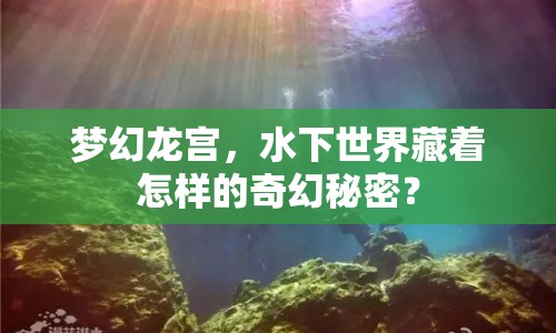 夢幻龍宮，水下世界藏著怎樣的奇幻秘密？