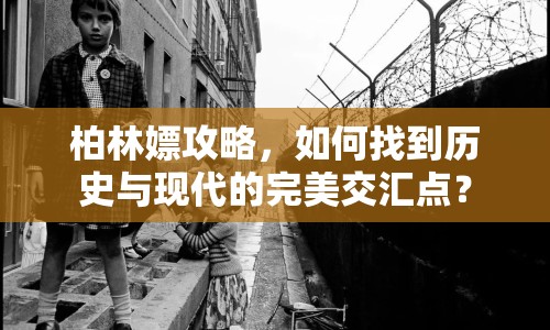 柏林嫖攻略，如何找到歷史與現(xiàn)代的完美交匯點(diǎn)？