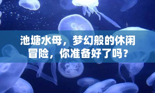 池塘水母，夢幻般的休閑冒險，你準(zhǔn)備好了嗎？
