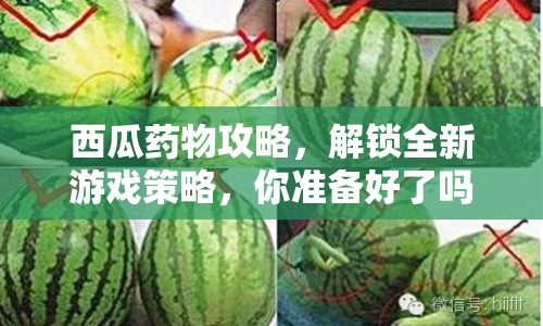 西瓜藥物攻略，解鎖全新游戲策略，你準(zhǔn)備好了嗎？