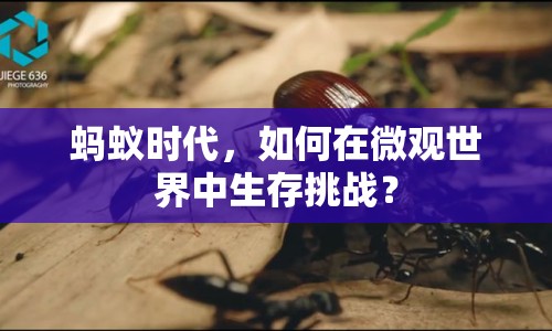 螞蟻時代，如何在微觀世界中生存挑戰(zhàn)？
