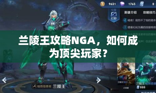 蘭陵王攻略NGA，如何成為頂尖玩家？