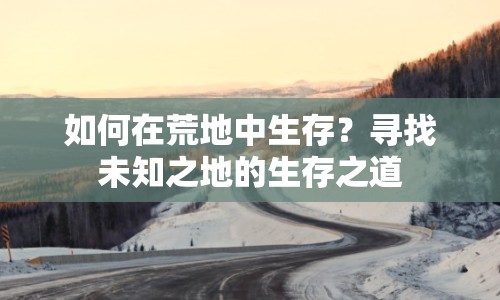 如何在荒地中生存？尋找未知之地的生存之道