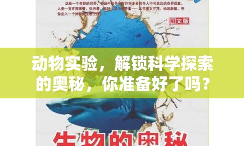 動(dòng)物實(shí)驗(yàn)，解鎖科學(xué)探索的奧秘，你準(zhǔn)備好了嗎？