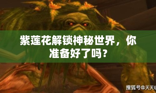 紫蓮花解鎖神秘世界，你準備好了嗎？